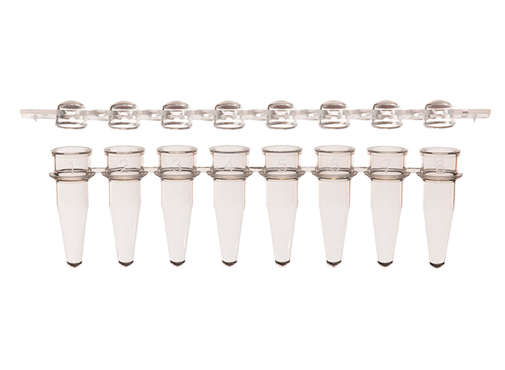 0.2 mL 8-Strip PCR Tubes & Clear, Dome Caps