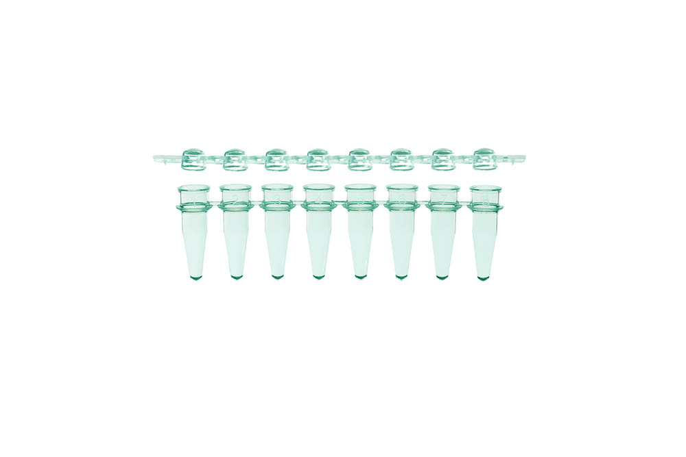 0.2 mL 8-Strip PCR Tubes & Clear, Dome Caps, Green