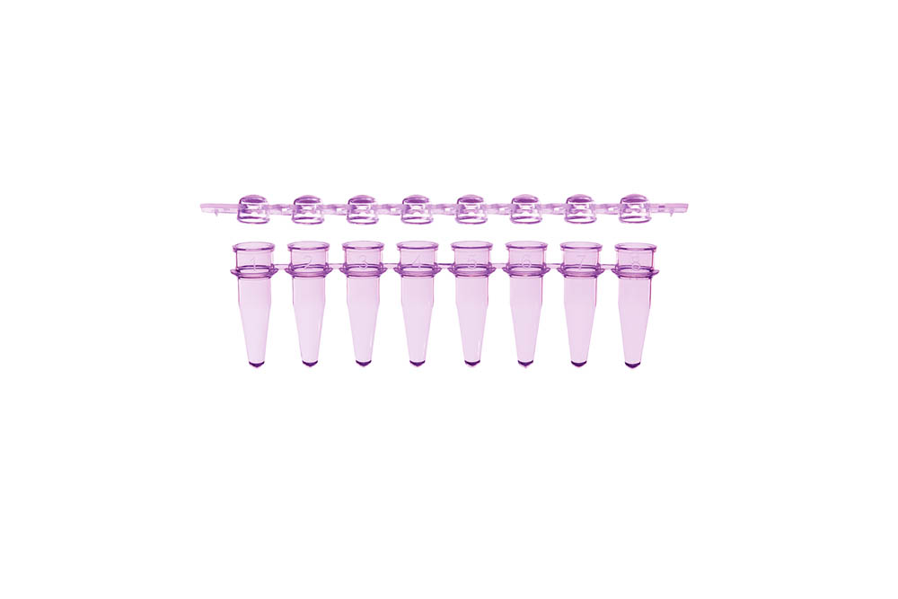 0.2 mL 8-Strip PCR Tubes & Clear, Dome Caps, Violet