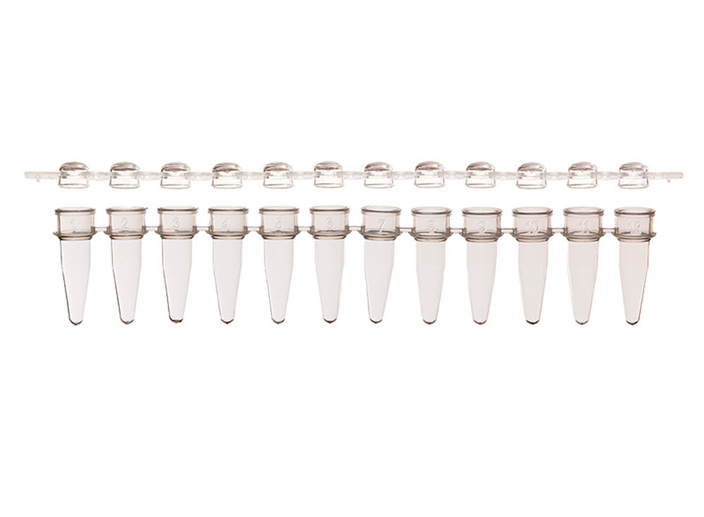 0.2 mL 12-Strip PCR Tubes & Clear, Dome Caps