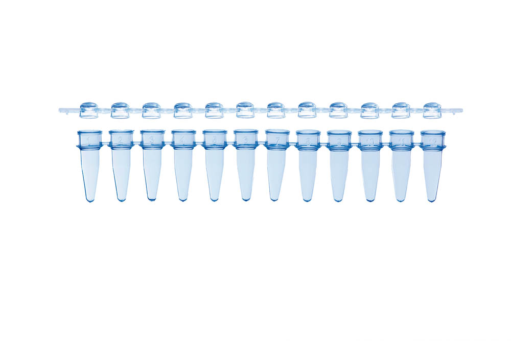 0.2 mL 12-Strip PCR Tubes & Clear, Dome Caps, Blue