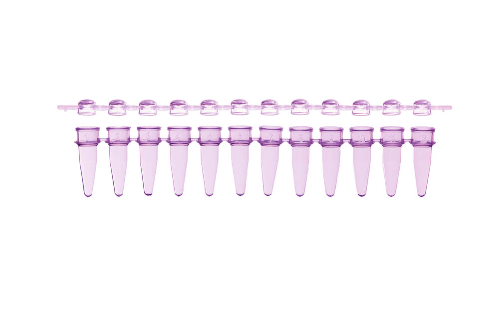 0.2 mL 12-Strip PCR Tubes & Clear, Dome Caps, Violet