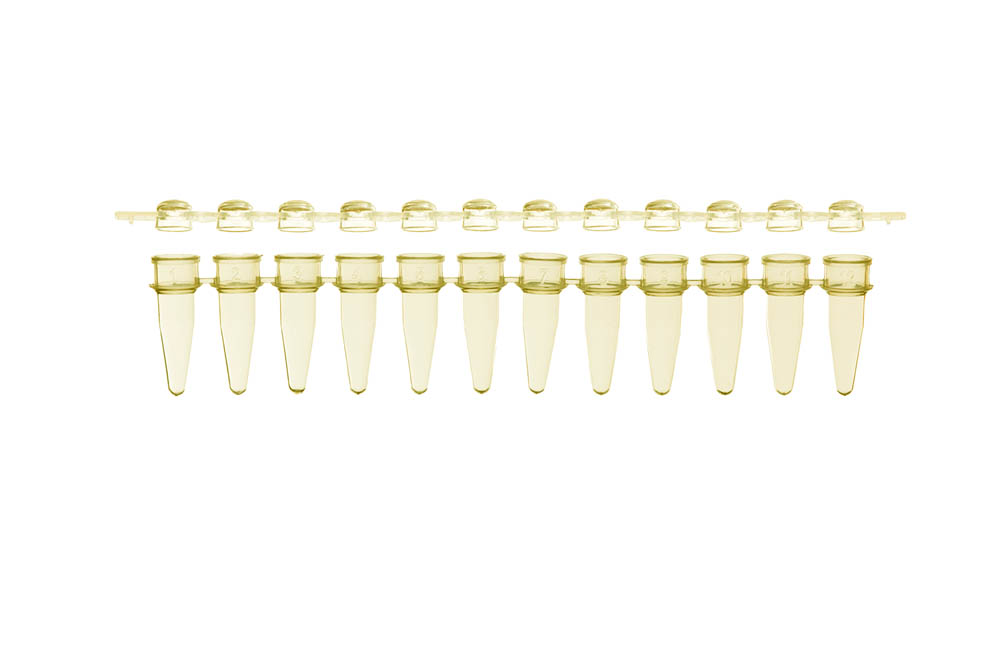 0.2 mL 12-Strip PCR Tubes & Clear, Dome Caps, Yellow
