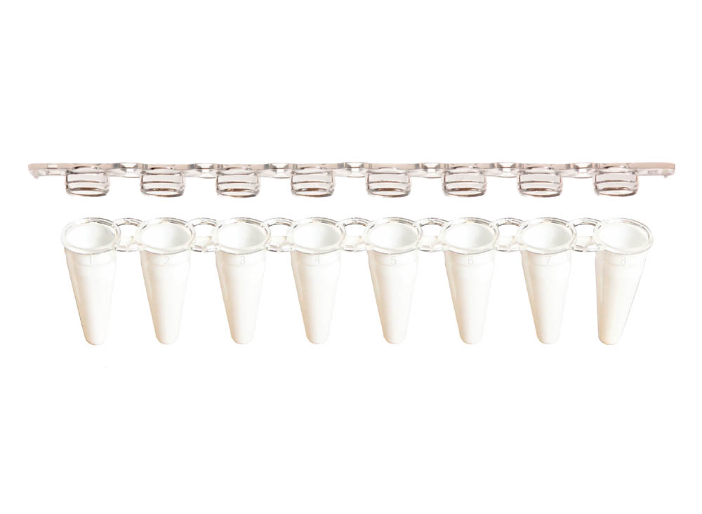 0.1 mL 8-Strip PCR Tubes & Clear, Flat Caps, White