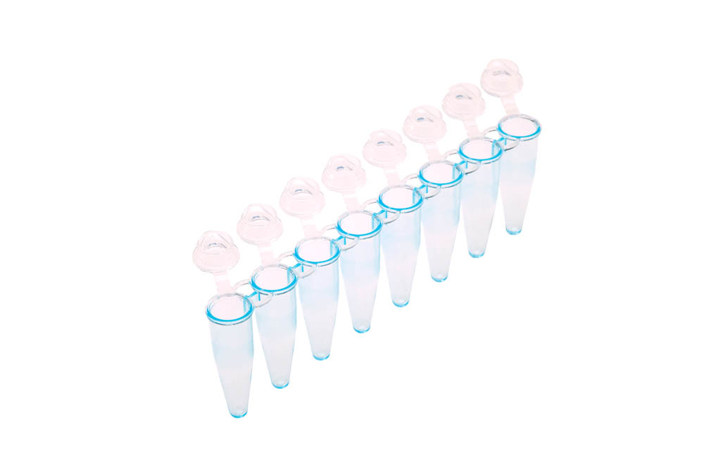 0.2 mL 8-Strip UltraFlux&reg; i Rigid PCR Tubes, Blue Tubes with Clear Flat Caps
