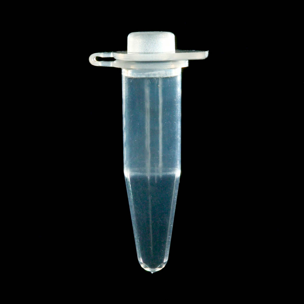0.5 mL Individual PCR Tubes with Dome Caps