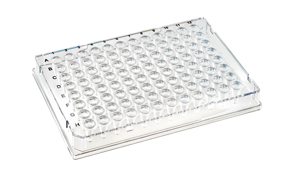 0.1 mL DuraFrame&reg; Rigid PCR Plates, Clear