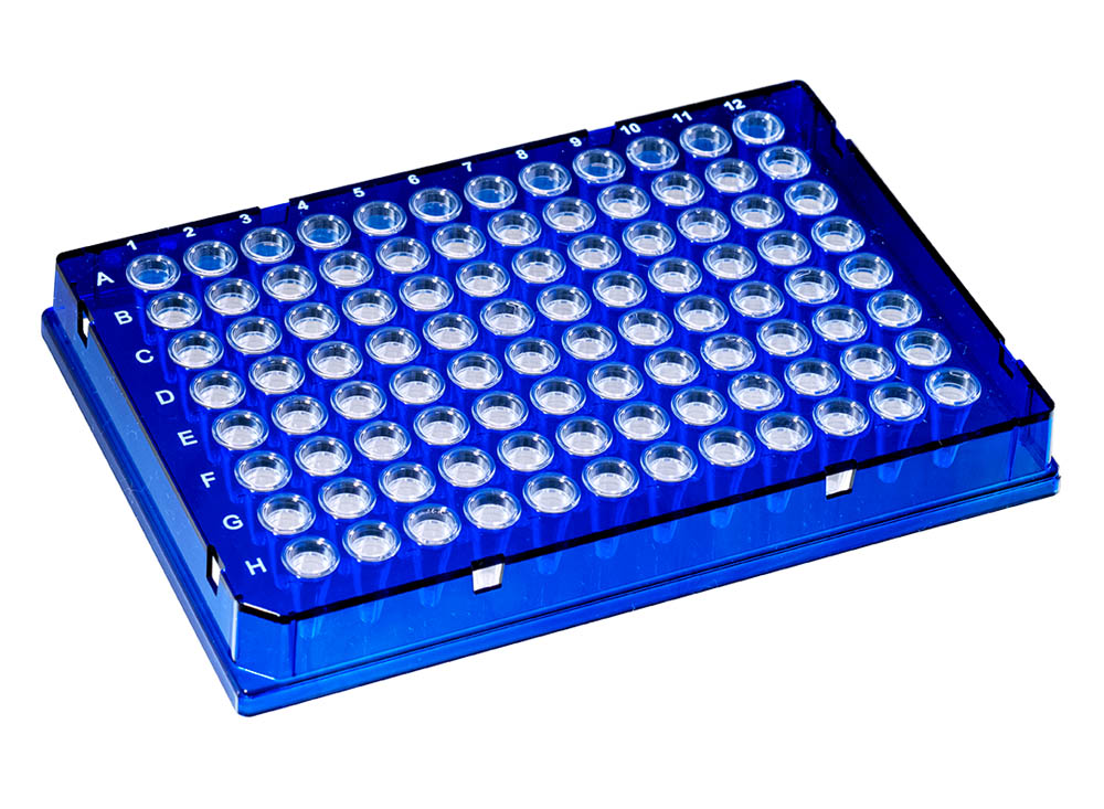 0.1 mL DuraFrame&reg; Rigid PCR Plates, Blue