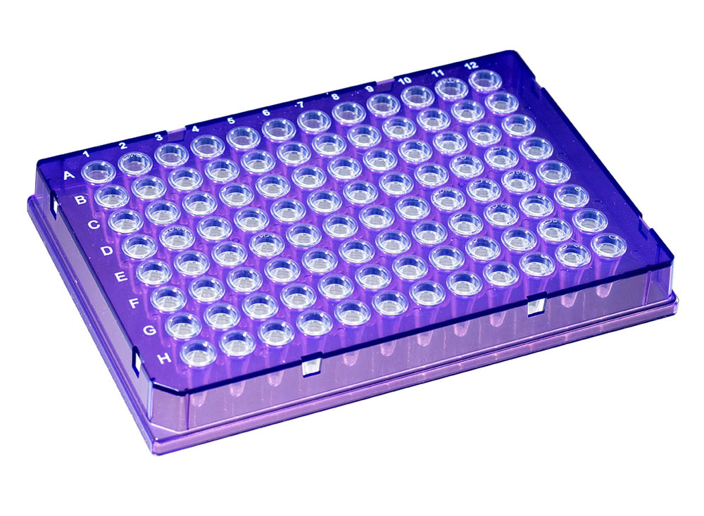 0.1 mL DuraFrame&reg; Rigid PCR Plates, Violet