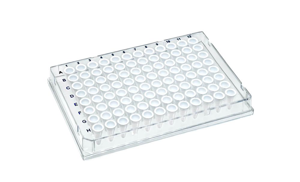 0.1 mL DuraFrame&reg; Rigid PCR Plates, Clear, White Wells