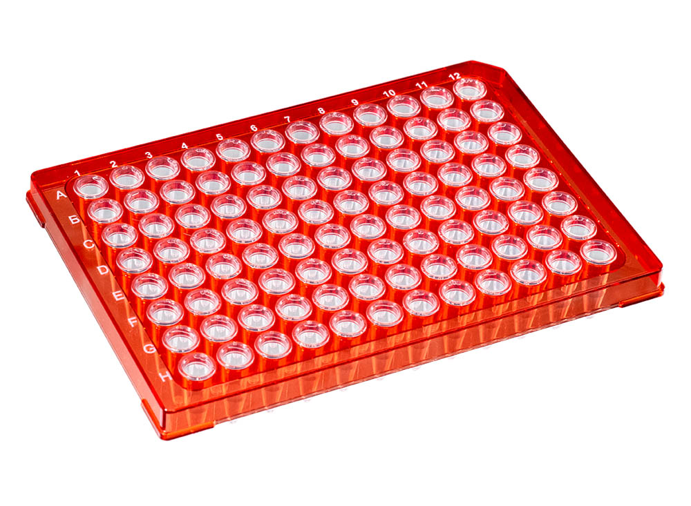 0.2 mL DuraFrame&reg; Rigid PCR Plates, Red