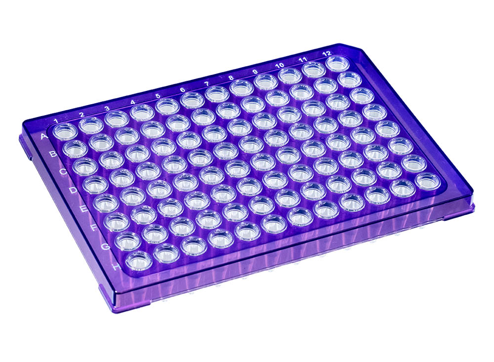 0.2 mL DuraFrame&reg; Rigid PCR Plates, Violet