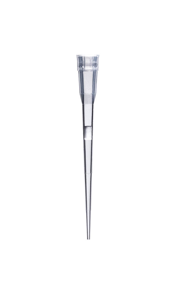 10 &mu;L XL&nbsp;Filtered Pipette Tips, Racked Sterile
